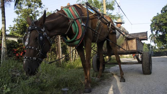 Un campesino cubano.