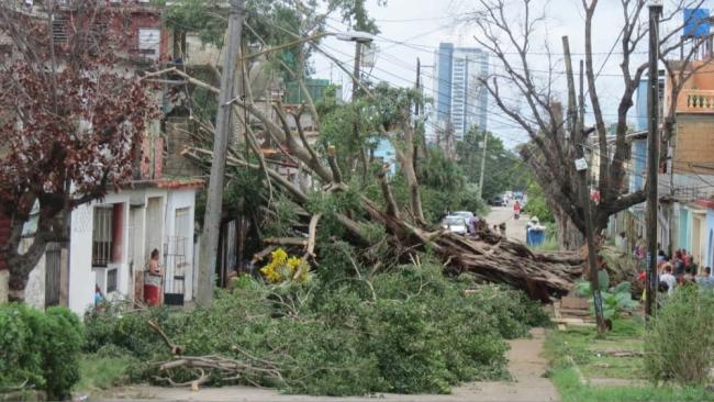 Devastación en La Habana por el paso del huracán Rafael.