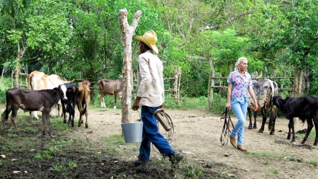 Un campesino en Guantánamo con sus animales.