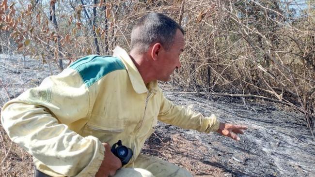 Un miembro del Cuerpo de Guardabosques en la zona afectada por el incendio.