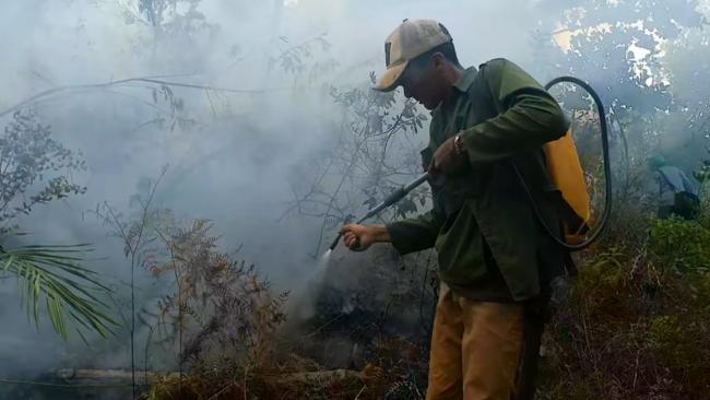 Un trabajador forestal en las labores de extinción.