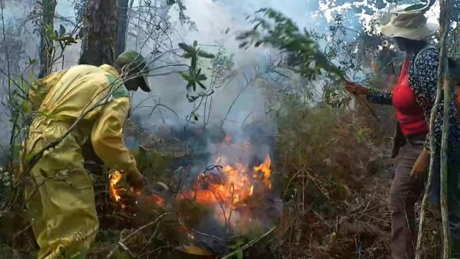 Trabajadores forestales trabajan para controlar el fuego.