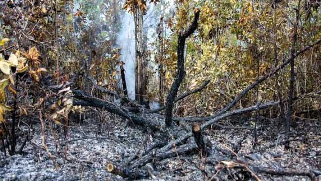 Zona quemada en el incendio iniciado en MInas de Matahambre, Pinar del Río.