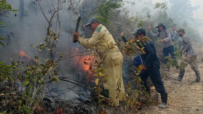 Efectivos intentan contener el incendio forestal en el norte de Pinar del Río.