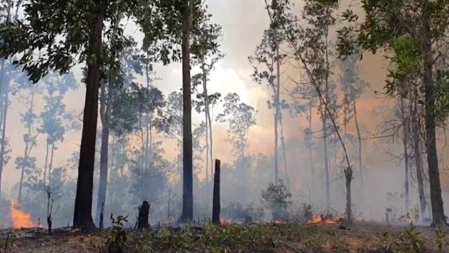 Incendio forestal en Pinar del Río.