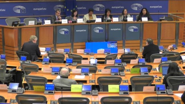Subcomité de Derechos Humanos del Parlamento Europeo.