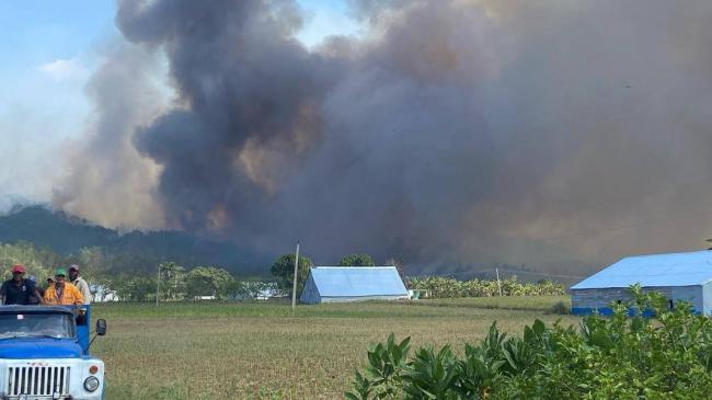 Humareda del incendio próximo a zonas de cultivo en Pinar del Río.