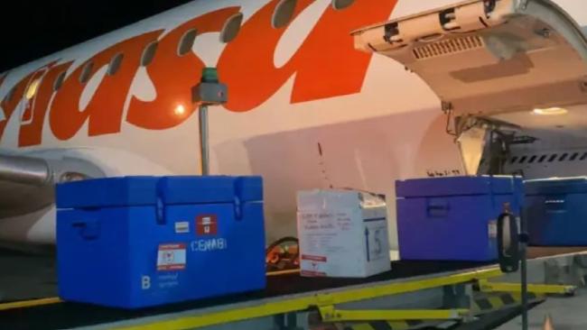 Cargamento con vacunas antipolio recibido en Venezuela.