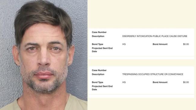 Fotografía de la ficha policial de William Levy y cargos en su contra. 