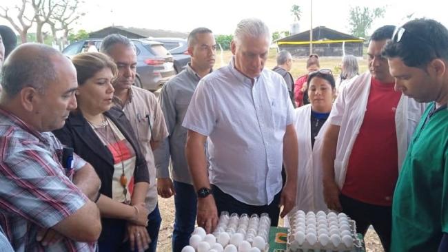 Díaz-Canel visita una granja en Bejucal.