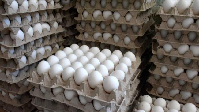 Producción de huevos en Cuba.