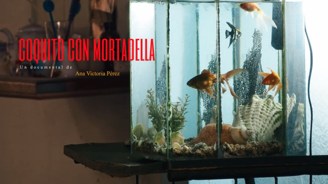 Cartel del documental 'Coquito con mortadella'.