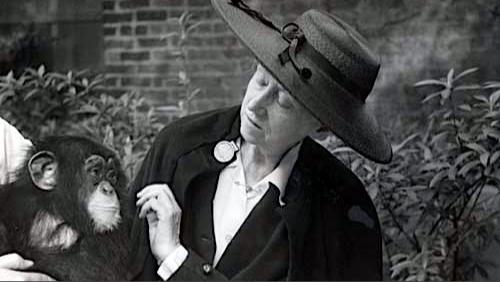Marianne Moore acaricia a un chimpancé en el Zoo de Brooklyn, 1953.