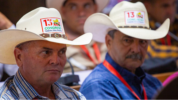 Campesinos cubanos en el Congreso de la ANAP.