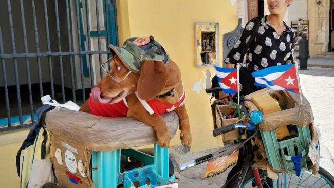Una escena para el turismo en la Habana Vieja.
