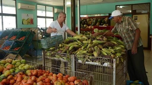 Tomates y otros productos en un mercado en Cuba.