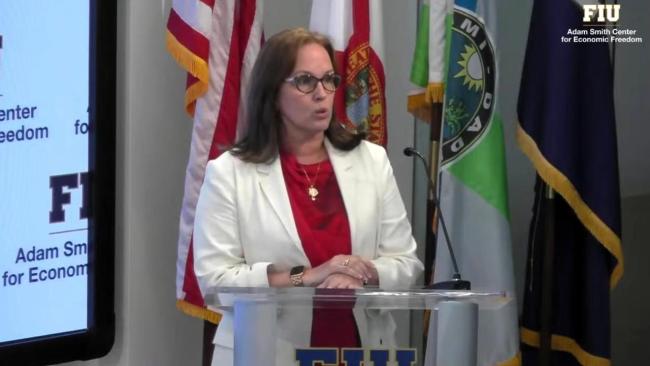 La doctora Aleida Hernández Lara da testimonio en Washington.