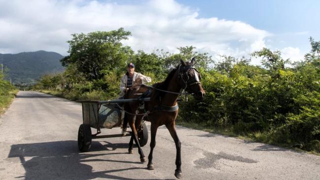 Un carretón de caballo en una carretera de Pinar del Río.