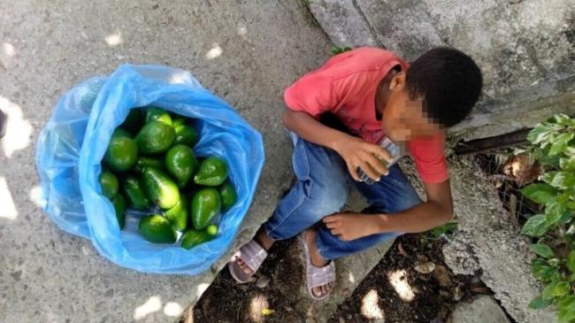 Niño cubano vendiendo aguacates.