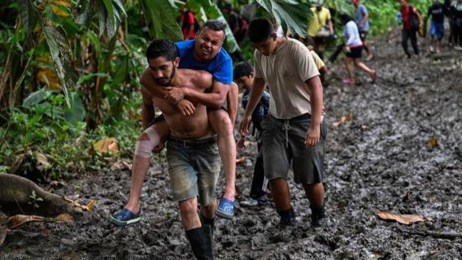 Migrante herido es rescatado en la selva del Darién.