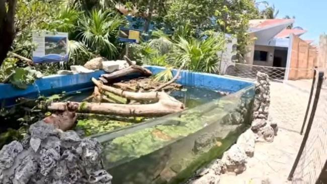 Un estanque del Acuario Nacional de Cuba.