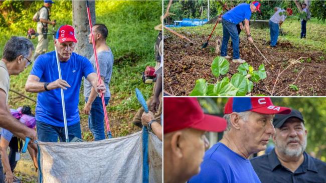 Díaz-Canel este domingo en la higienización de La Habana.