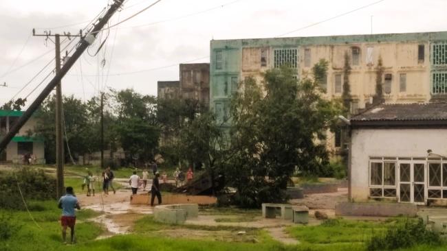 Árboles, postes y tendido eléctrico derribados por Melissa en Santiago de Cuba.