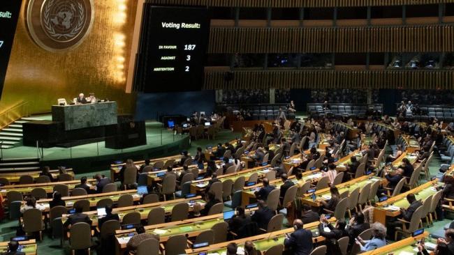 Asamblea General de la ONU.