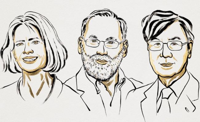 Brunkow, Ramsdell y Sakaguchi.