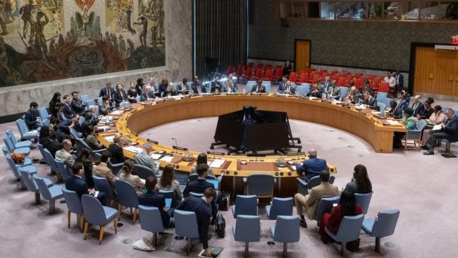 Consejo de seguridad de la ONU.