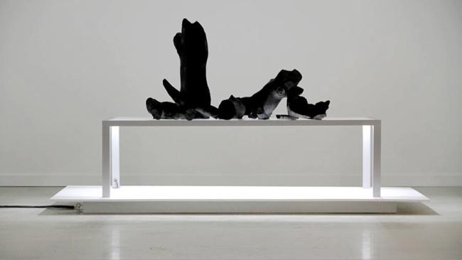 'The Rest' de Florencio Gelabert, 2015.