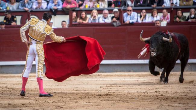 Corrida taurina.