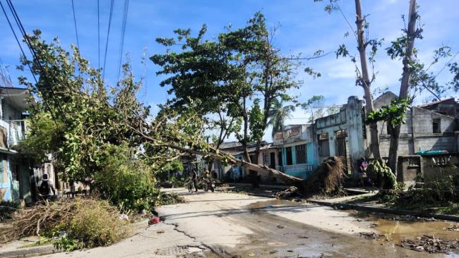 Un árbol arrancado de raíz por los vientos de Melissa en Santiago de Cuba.