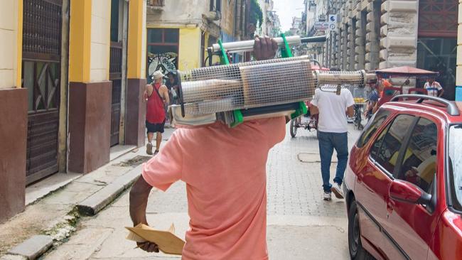 Un operario de la campaña antivectorial en La Habana.