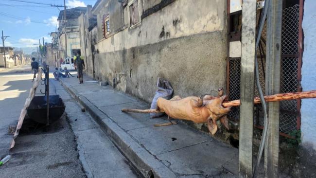Un cerdo asado en una calle en Santiago de Cuba.