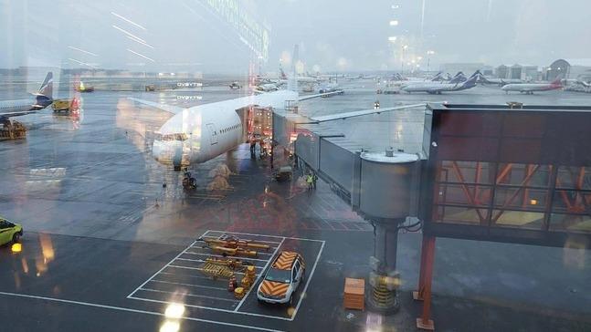 El vuelo de Nordwind luego de regresar a la terminal moscovita de Sheremetyevo.