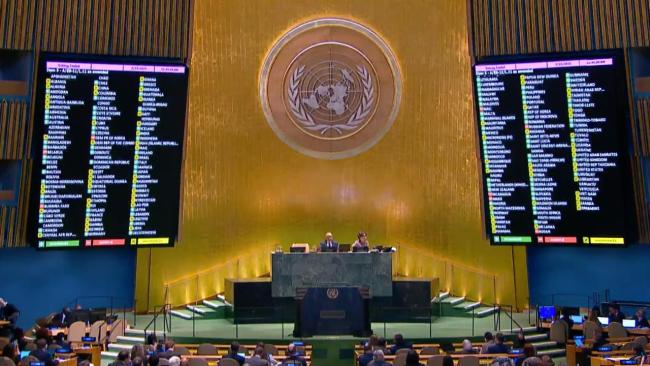 Votación en la Asamblea General de la ONU.