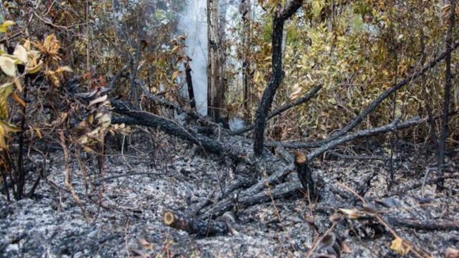 Daños causados por un incendio forestal en Pinar del Río.