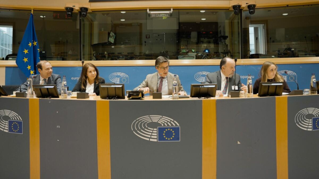 Presentación del informe en el Parlamento Europeo.