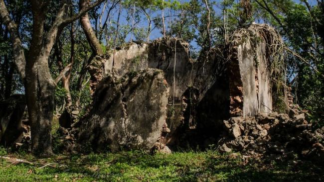 Ruinas del cafetal La Dionisia, Matanzas.