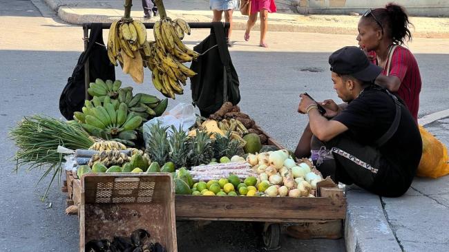 Vendedores de productos agropecuarios en La Habana