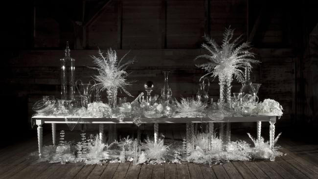 'Laid (Time-) Table with Cycads' de Beth Lyman, 2015. 