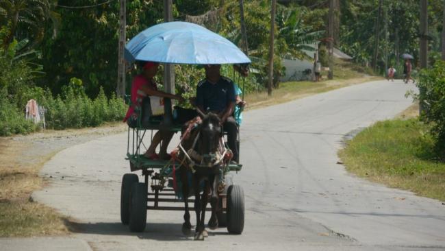 Transporte en el campo cubano.