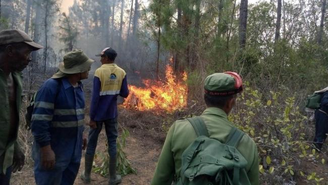 Efectivos trabajan para contener el incendio en Pinar del Río.