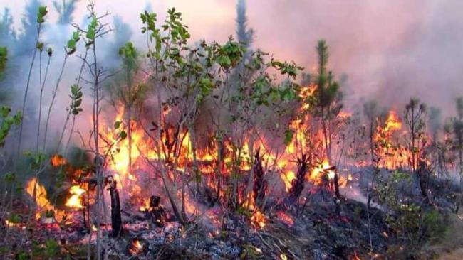 Incendio en Pinar del Río.