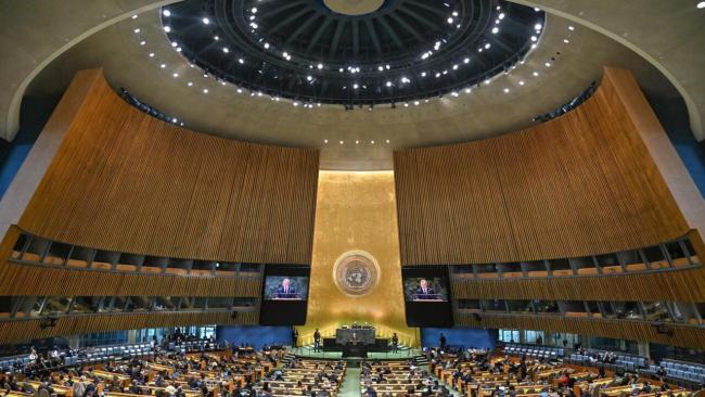Asamblea General de las Naciones Unidas.