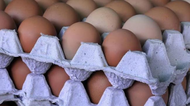 Producción de huevos en República Dominicana.