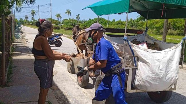 Recogida de basura en la Isla de la Juventud.