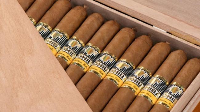 Tabacos cubanos.