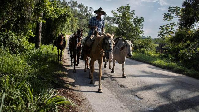 Un campesino en Cuba.